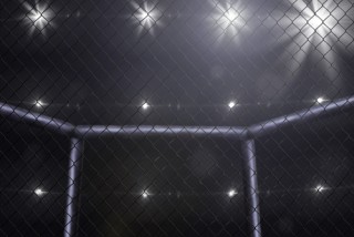 Gay Assemblyman Compares MMA Fighting to 'Gay Porn' | Law & Crime