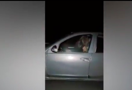 VIDEO: Couple Caught Having Sex in Car at 70 MPH | Law & Crime