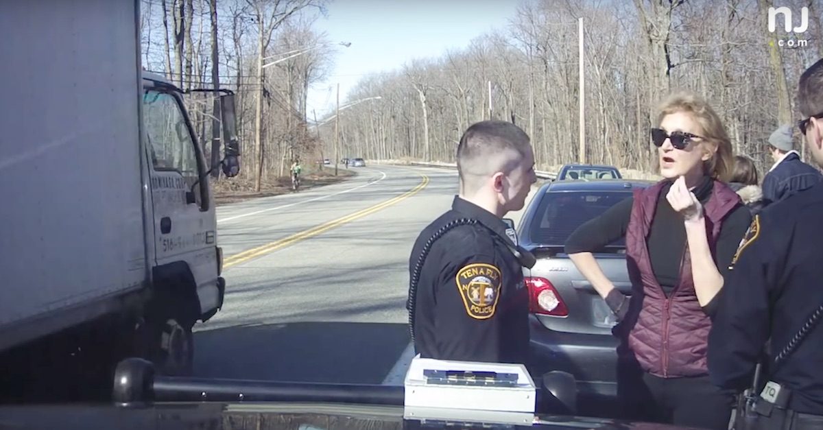 Port Authority Commissioner Caren Turner Resigns After Police Video Law & Crime