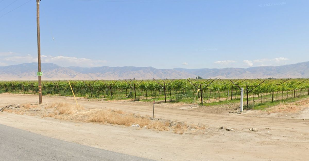 Cops identify woman found headless, thumbless in 2011