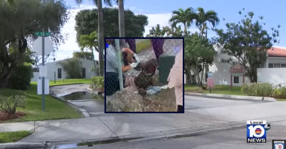 Good Samaritan allegedly stabbed by man he tried to help