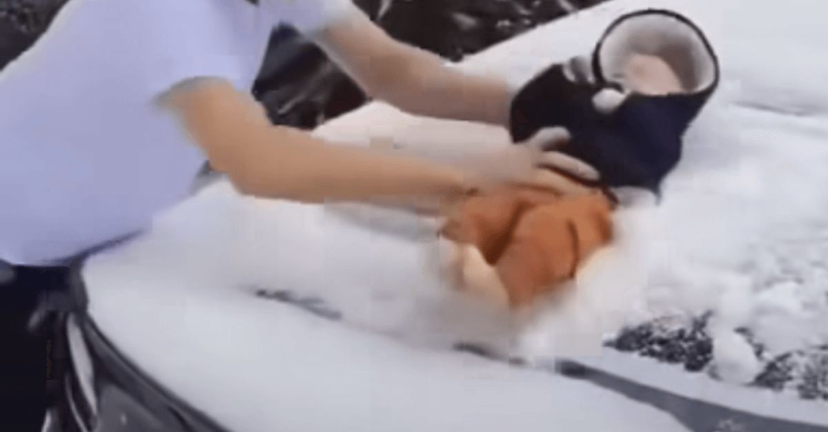 Cops to arrest man who used baby to wipe snow off car