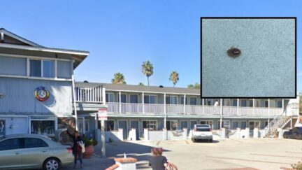 Bed bug hotel lawsuit