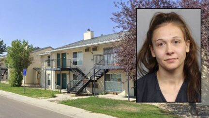 Woman allegedly fired her gun at a woman during domestic dispute