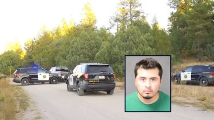 Adlai Mestre appears inset against an image of law enforcement vehicles.