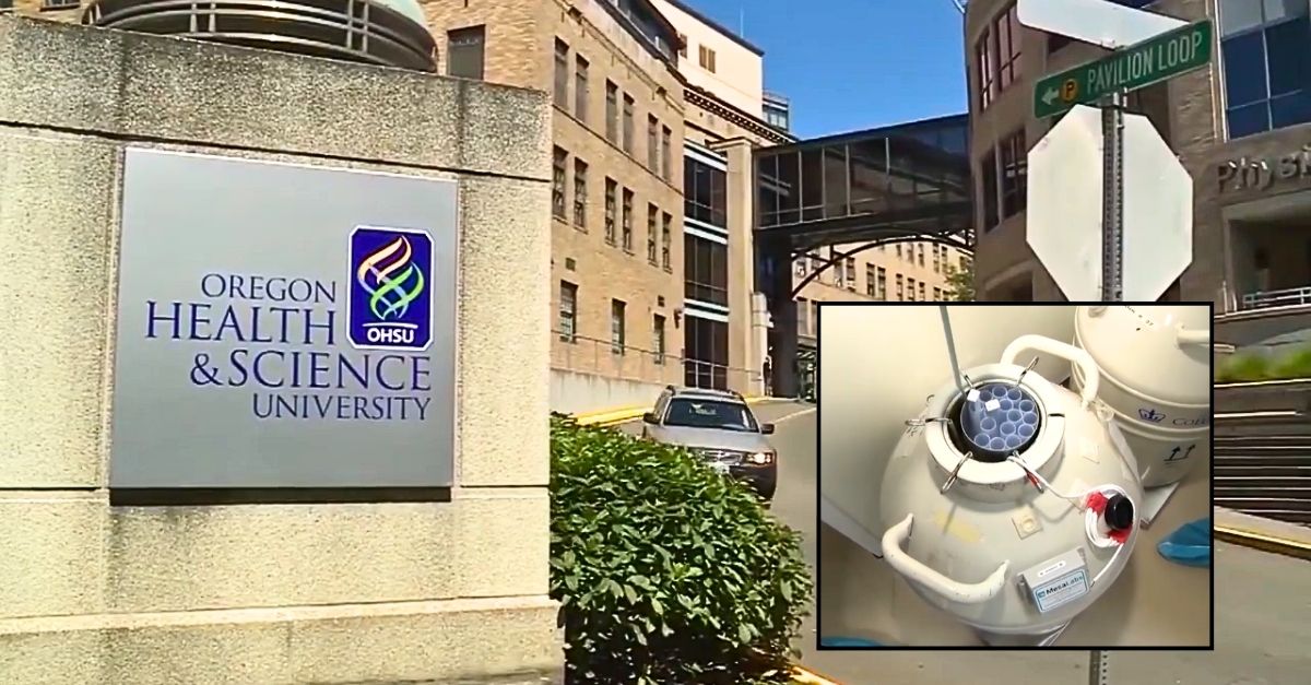 Hospital workers 'wrongfully inseminated' mother during couple's fertility procedure, leaving their child with 'medical issues' inherited from total stranger, lawsuit says