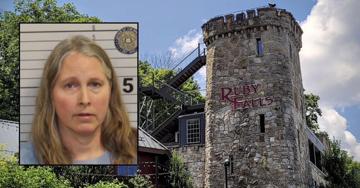 First grade teacher fighting her own children to get phone back forces child to protect sibling from her biting: Police