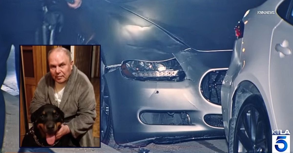 Maserati driver killed Holocaust survivor crossing street with dog, killing both: Cops