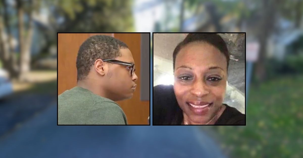 Boy, 14, stabbed grandma 37 times after telling friend they'd get money from her