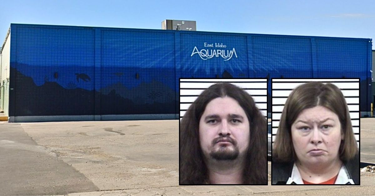 Parents spent family time at aquarium beating their 7-year-old into electrical box: Cops