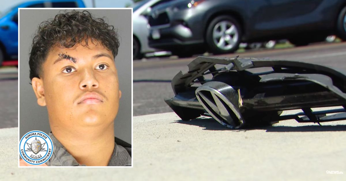 Mother and daughter heading home after delivering newspapers crushed by Audi driver speeding through red light at 121 mph