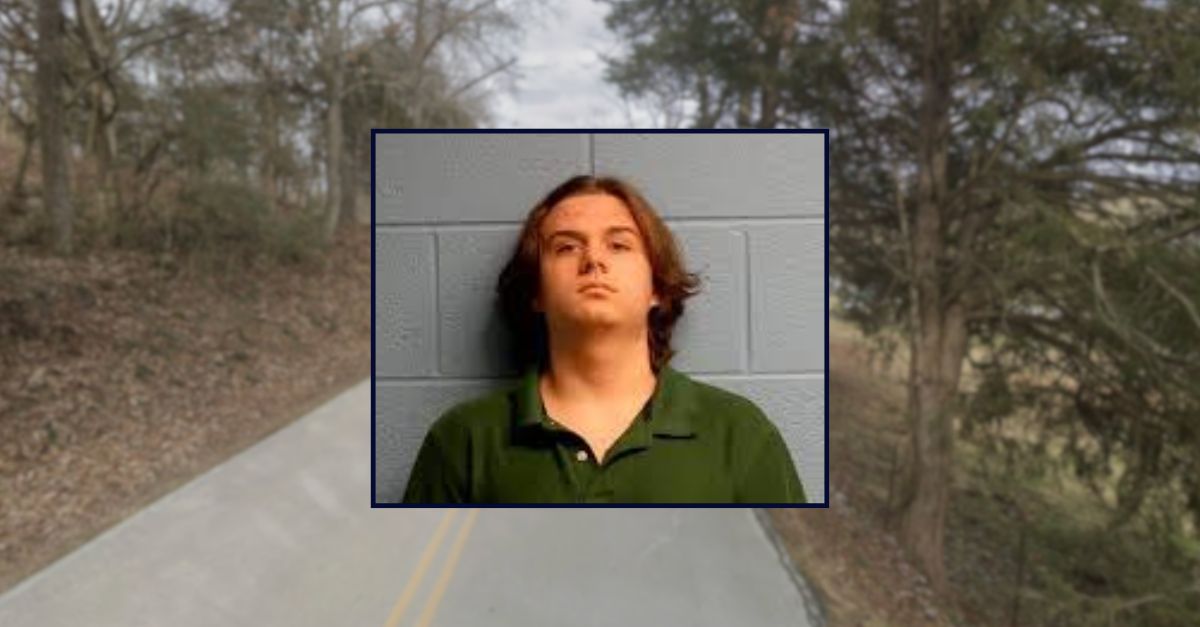 Teen's 'escape plan' included pizza and Walmart headphones after killing 7-year-old brother and grandmother with a hammer