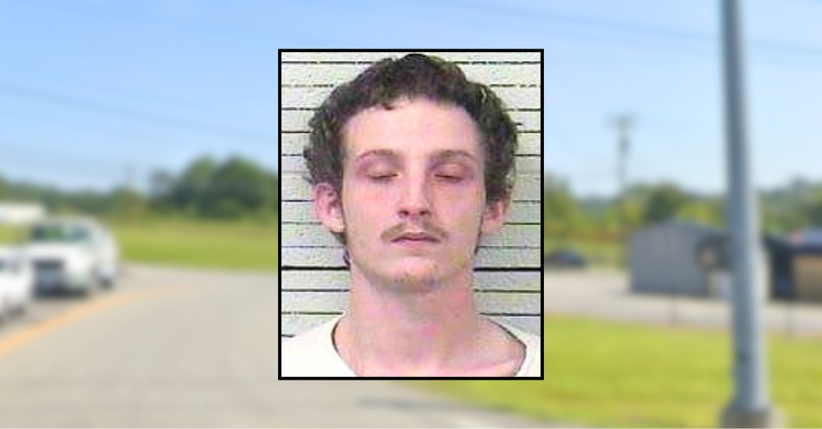 Dad slept as his 2 toddlers slipped through broken door and wandered along busy roadway: Police