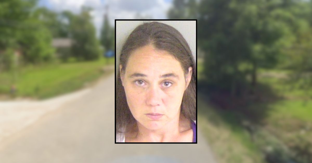 Babysitter let 20 minutes pass before checking on unconscious boy in backyard pool: Cops
