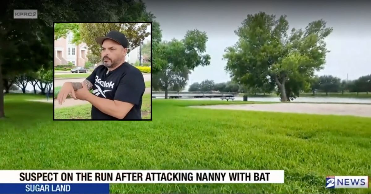 Nanny protects toddler during baseball bat attack, family says