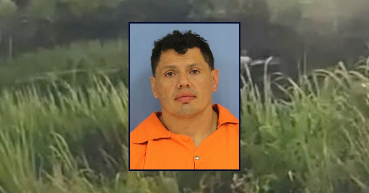 Man allegedly tries to evade cops by jumping into swamp and is attacked by an alligator