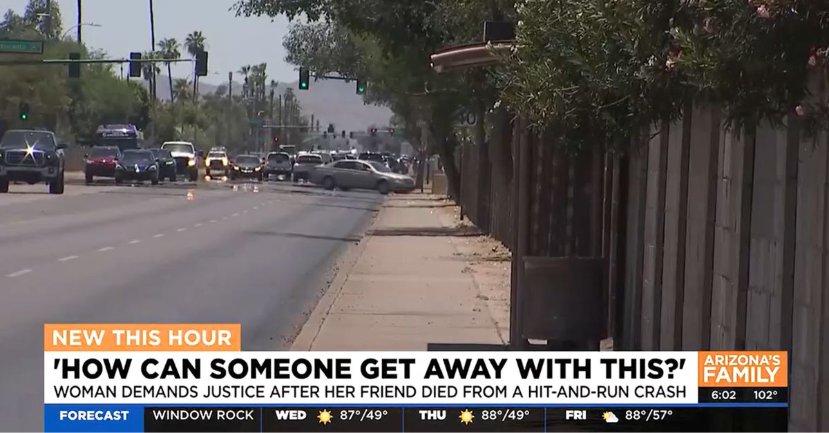 72-year-old woman walking to bus stop mowed down by drunk driver who left her 'laying in the street to die' because he was scared: Police