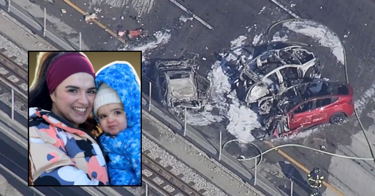 Speeding Tesla driver obliterated car, causing mom and daughter, 2, to burn to death: DA