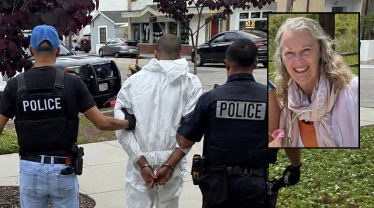 Woman who left mall to cash check stabbed by 19-year-old who felt like killing: Cops