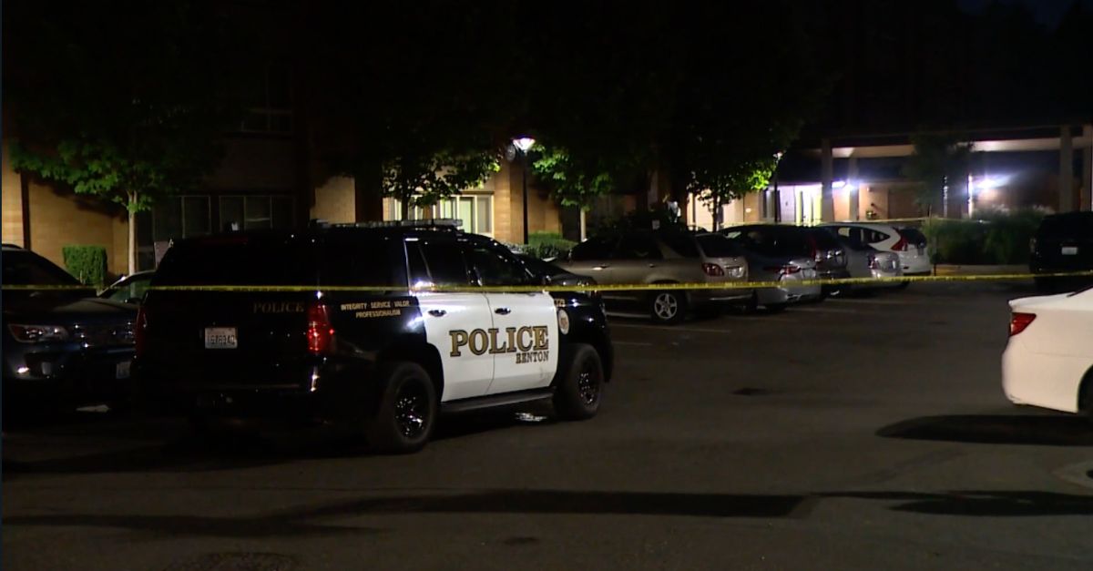Man accused of stabbing his mother to death said 'it felt great' to end her life: Police