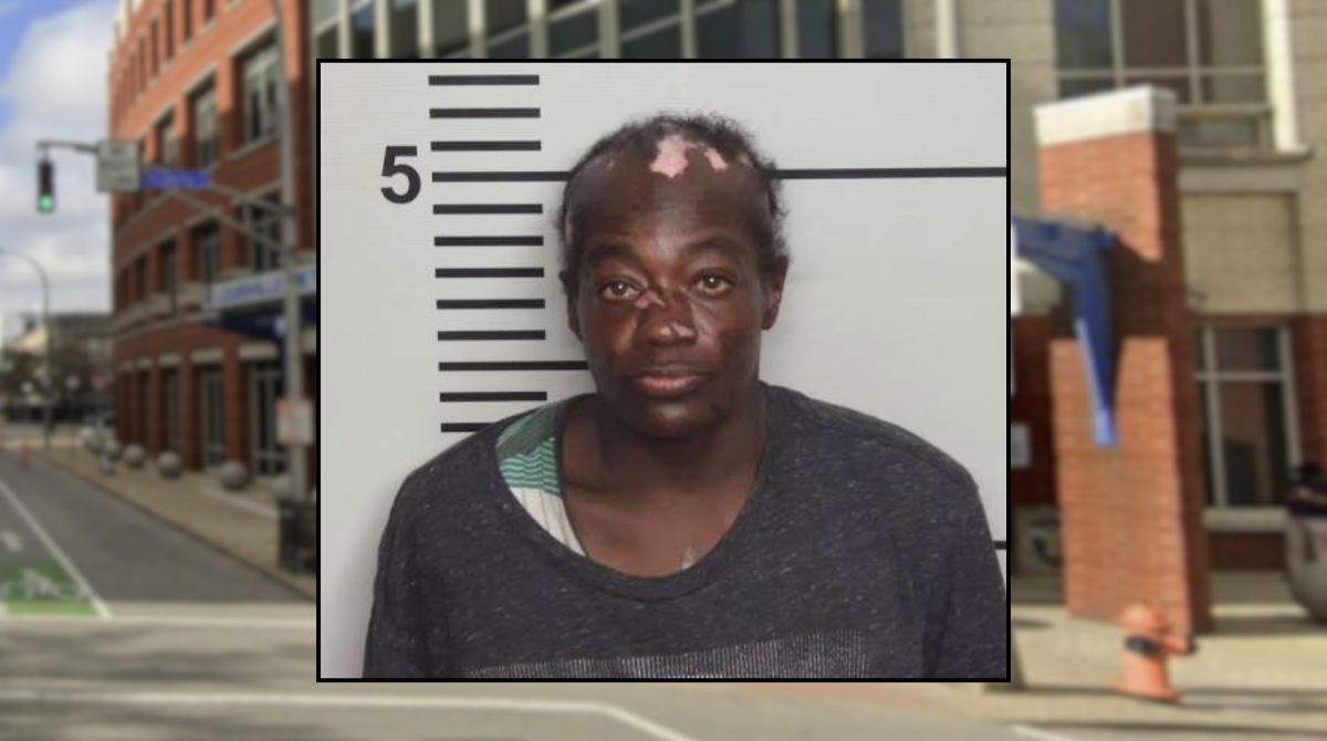 Woman who tried to kidnap 8-year-old girl claimed she was trying to 'save' her: Police