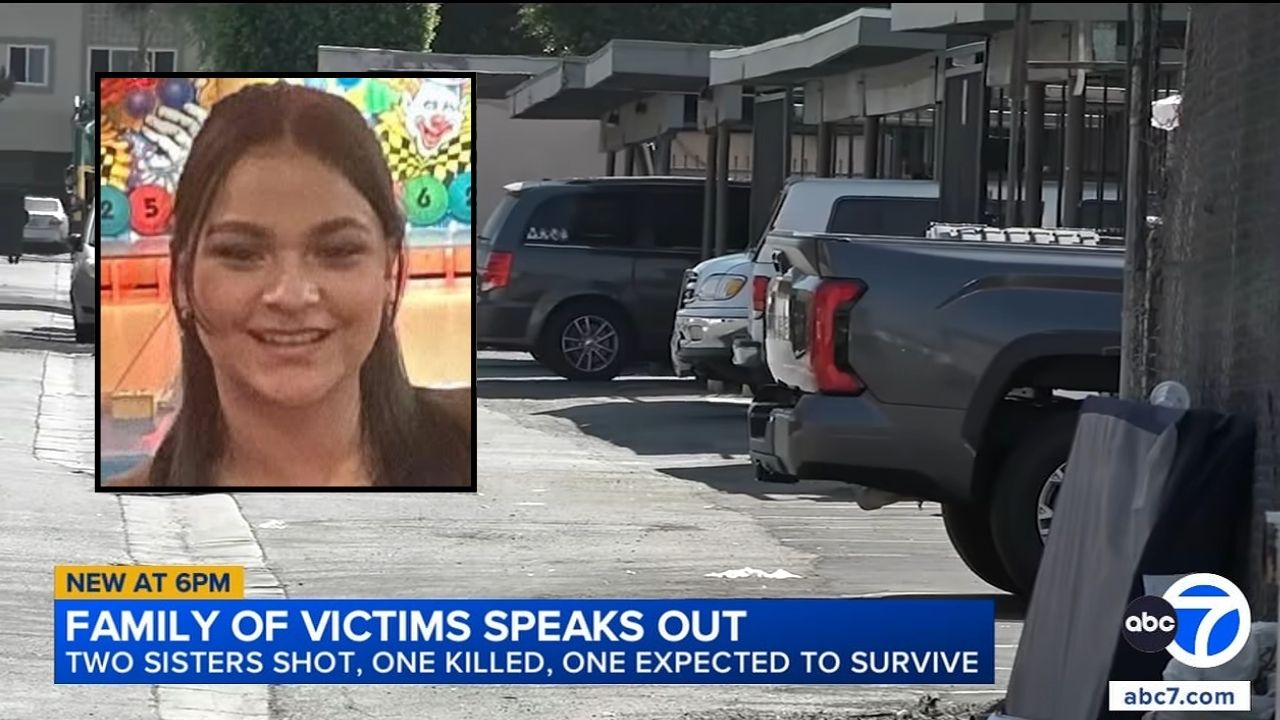 Pregnant 22-year-old mom ambushed and shot in the head while sitting in car with sister, taken off life support just weeks before gender reveal: Family