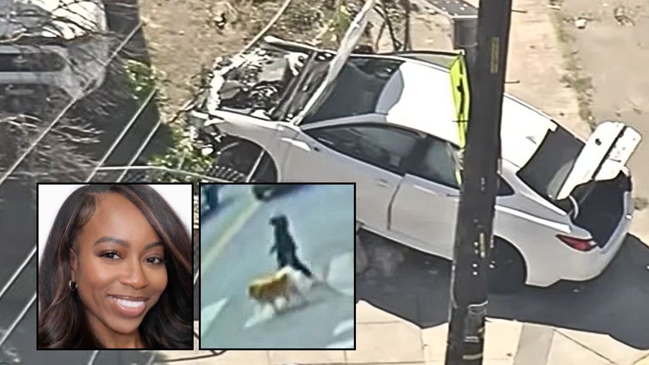 Woman has to relearn how to walk and speak again after random kids, ages 7 and 4, mowed her down with their parents' car as she walked dog: Family