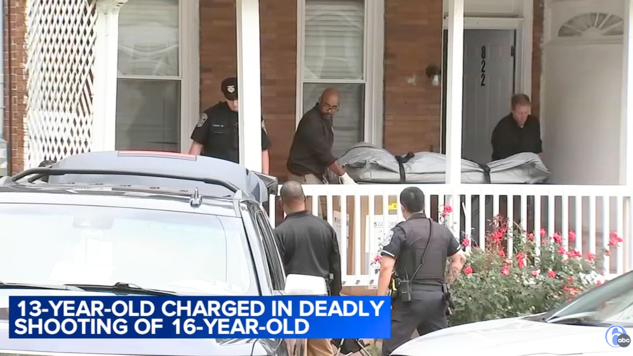 Boy, 13, finds Ruger by trash can and shoots his friend dead while playing with it: Police