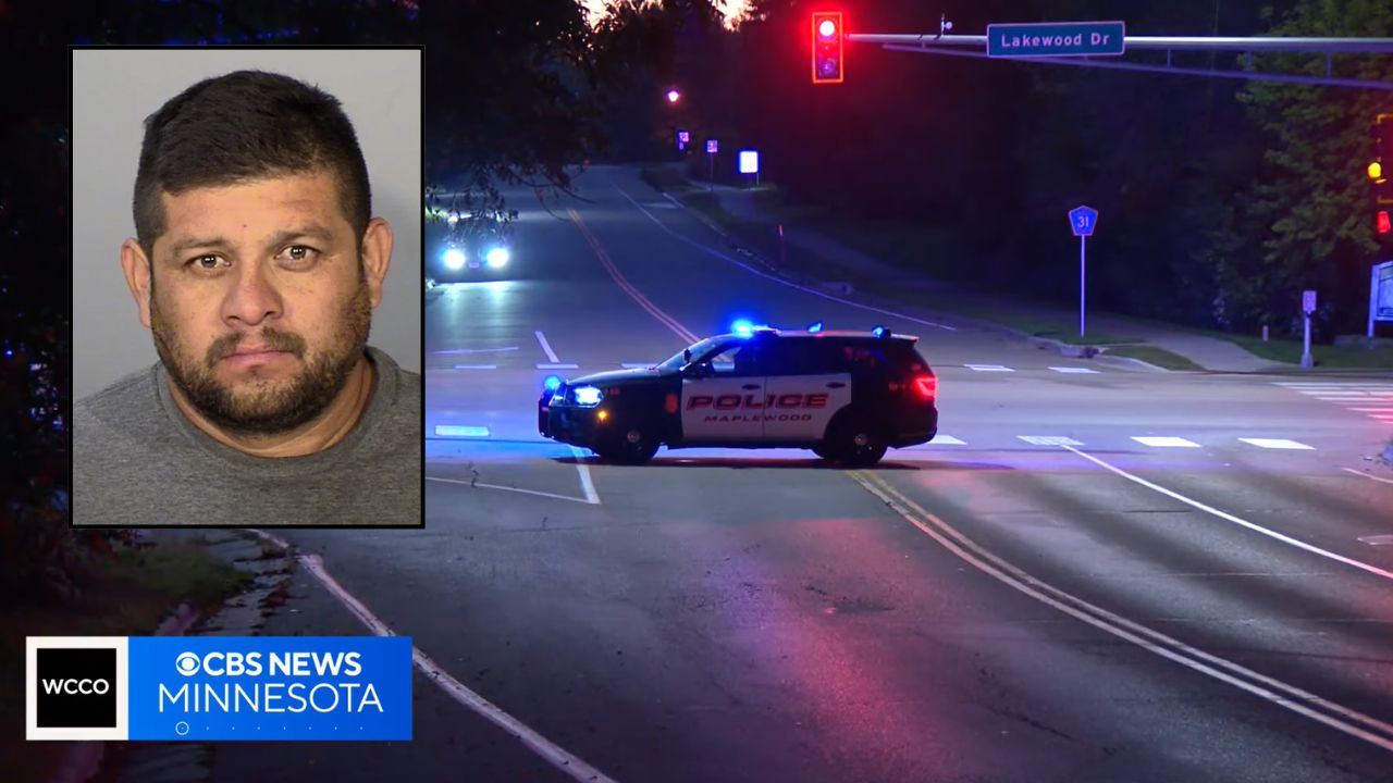 Driver ran over pedestrian with his work van then went to job 2 hours away, told people he 'may have hit a deer'